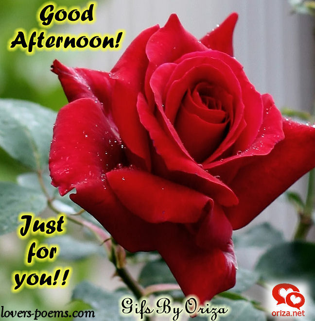 good afternoon