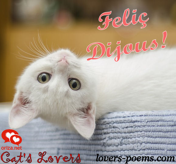 Català: Bon dia. Feliç Dijous! Català: Bon dia. Feliç Dijous!