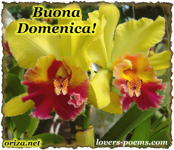 Italiano: Buona domenica, amici